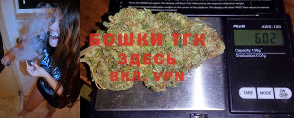 мяу мяу мука Великий Новгород
