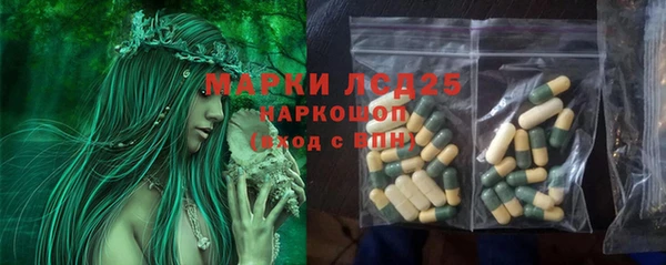 прущий лед Нея