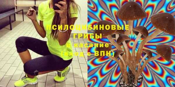 шишки Нефтегорск